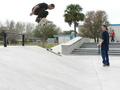 foto de skate